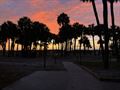 Hunting Island State Park (05/03/24)