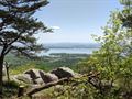 Rock Climbing and Rappelling/merit badge (04/28/23)