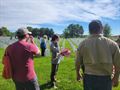 Cemetery flag placement (05/26/24)