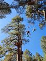 Flagstaff Extreme / Lava Tubes (10/20/23)