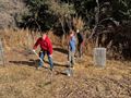 Habitat Restoration - Leona Canyon (11/02/24)