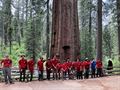 Yosemite Service Project (06/24/24)